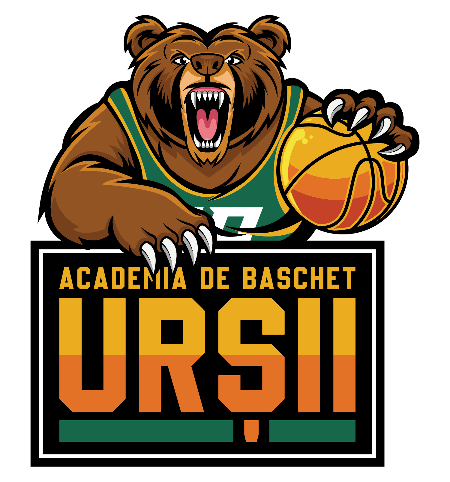 Academia de Baschet Urșii
